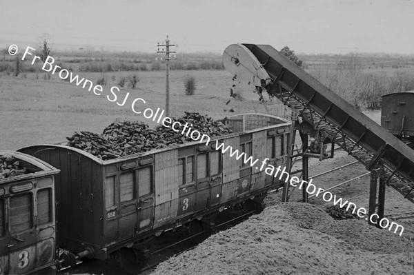 LOADING TURF TRAIN NEAR PORTARLINGTON